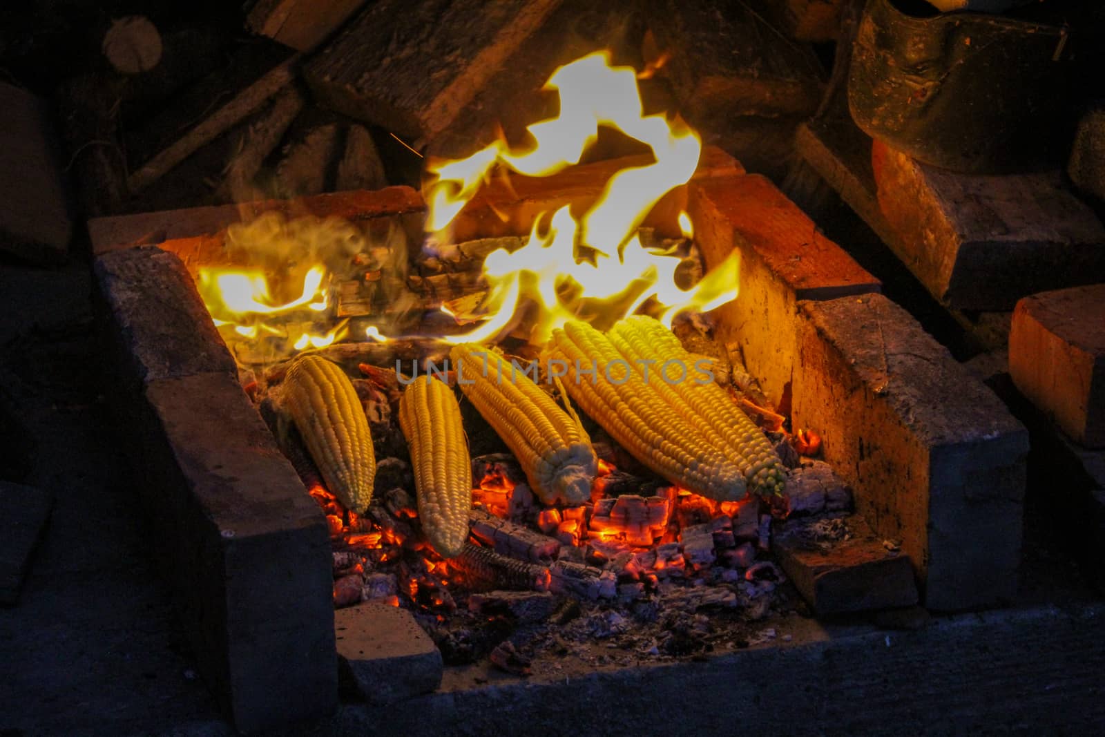 Five yellow corn is grilled in the evening. Zavidovici, Bosnia and Herzegovina.