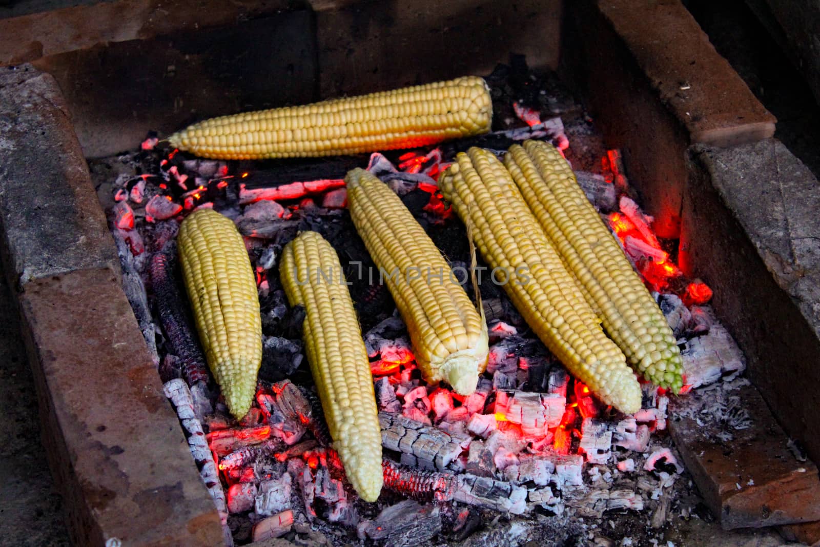 Grilled corn. Roasting corn in the traditional way in Bosnia. Zavidovici, Bosnia and Herzegovina.