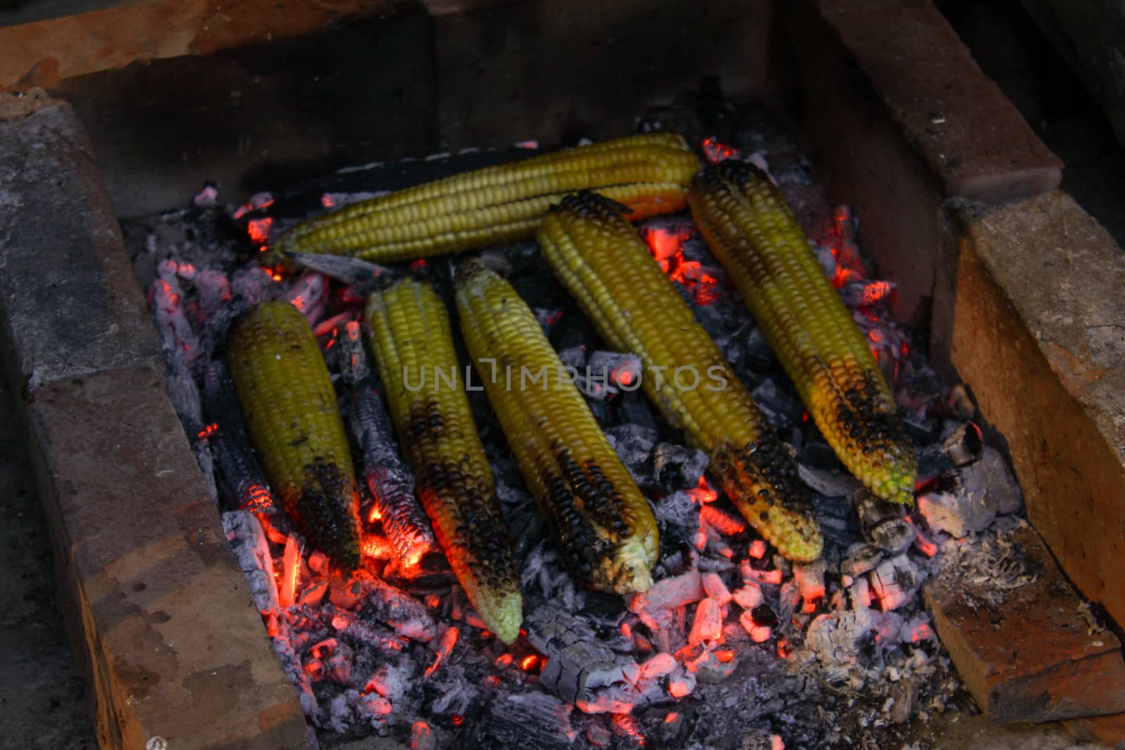 Burnt corn on the cob. Roasted corn on the cob. Summer nights by the fire. by mahirrov