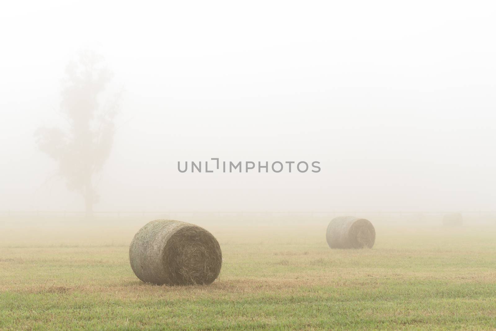 Hay bales in a foggy field in country NSW Australia by lovleah