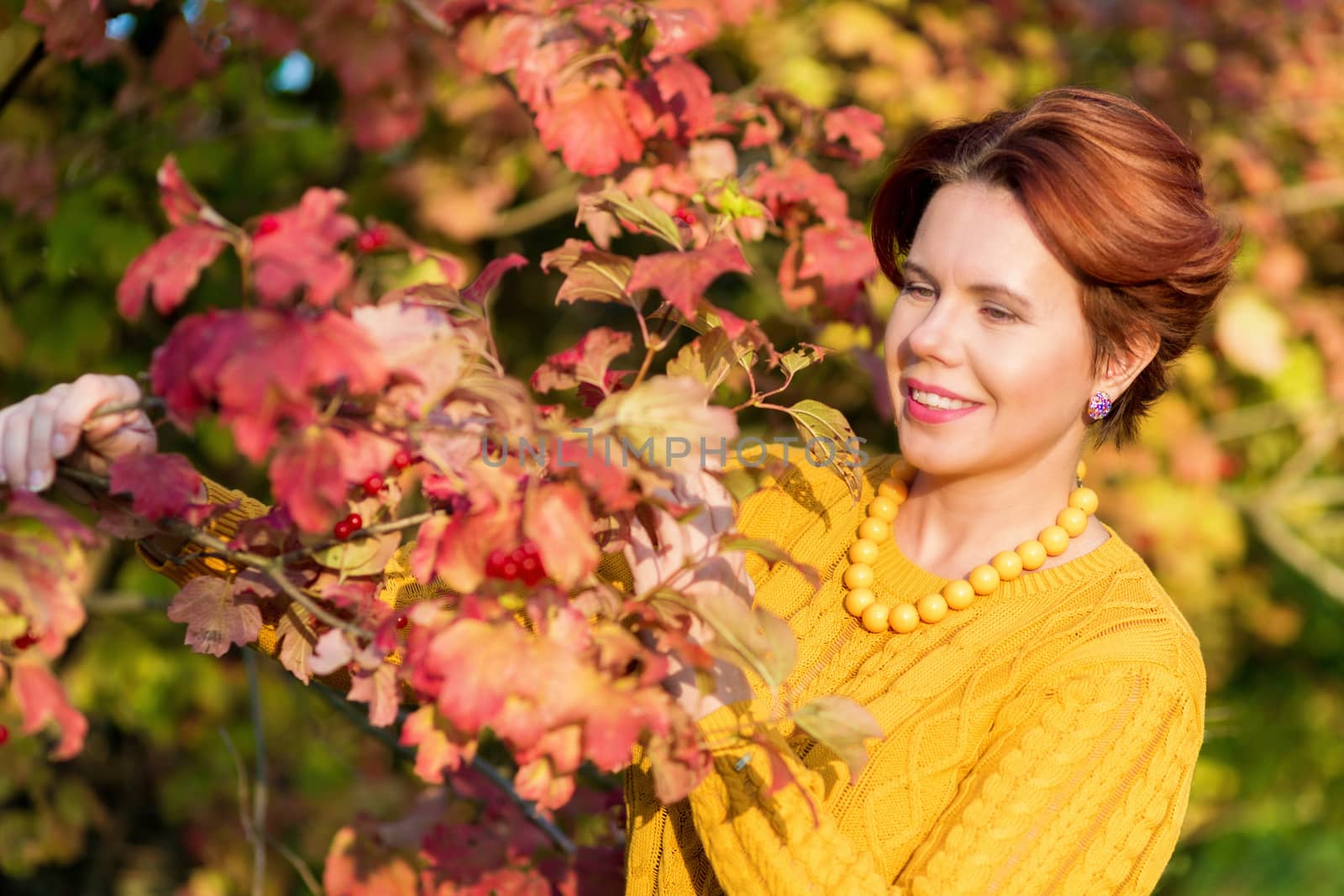 Portrait of beautiful 30 year old woman standing near Red foliage on a viburnum Bush in autumn park .