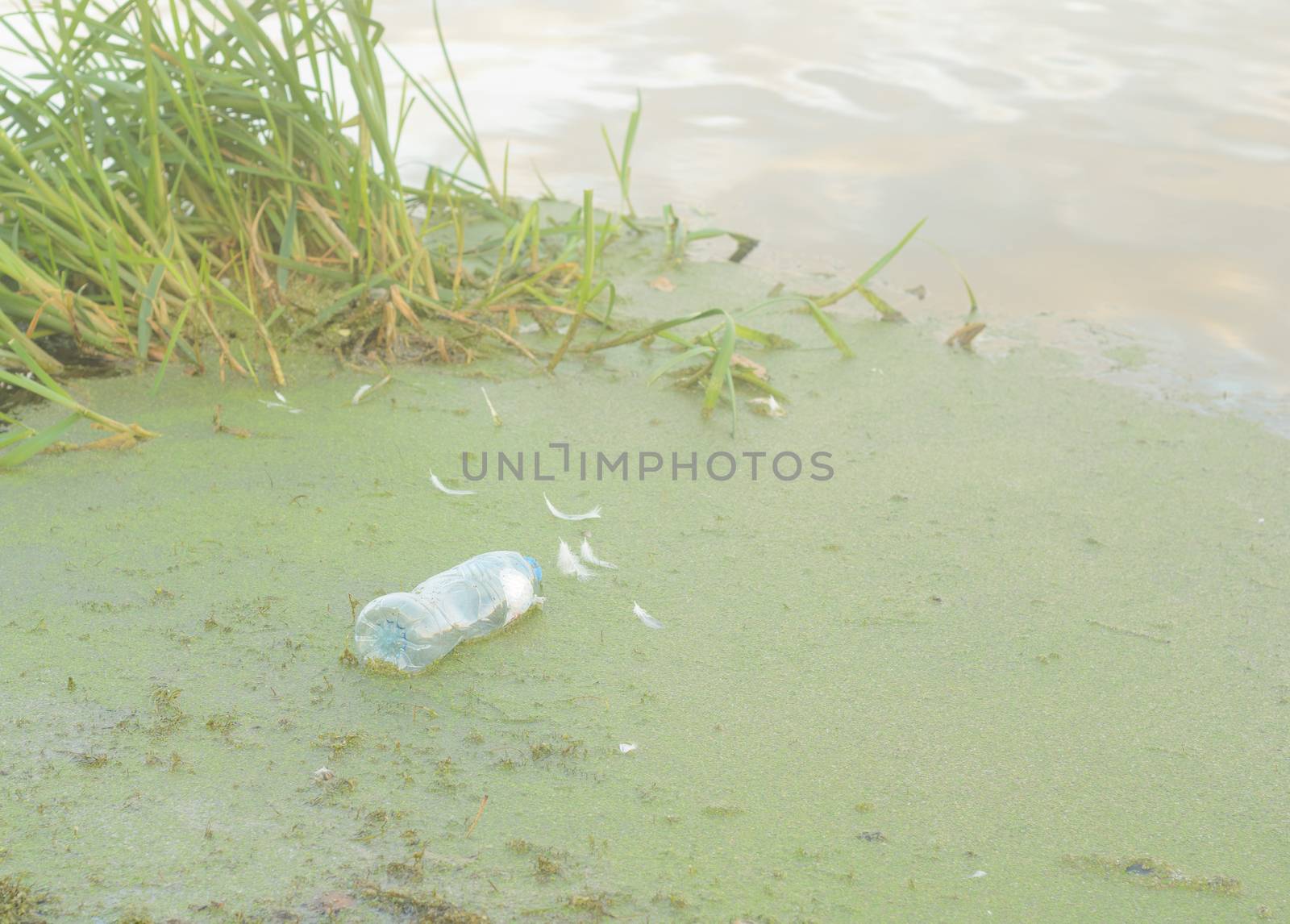 A plastic bottle floats in the mud near the shore .Plastic pollution of the environment. by andre_dechapelle
