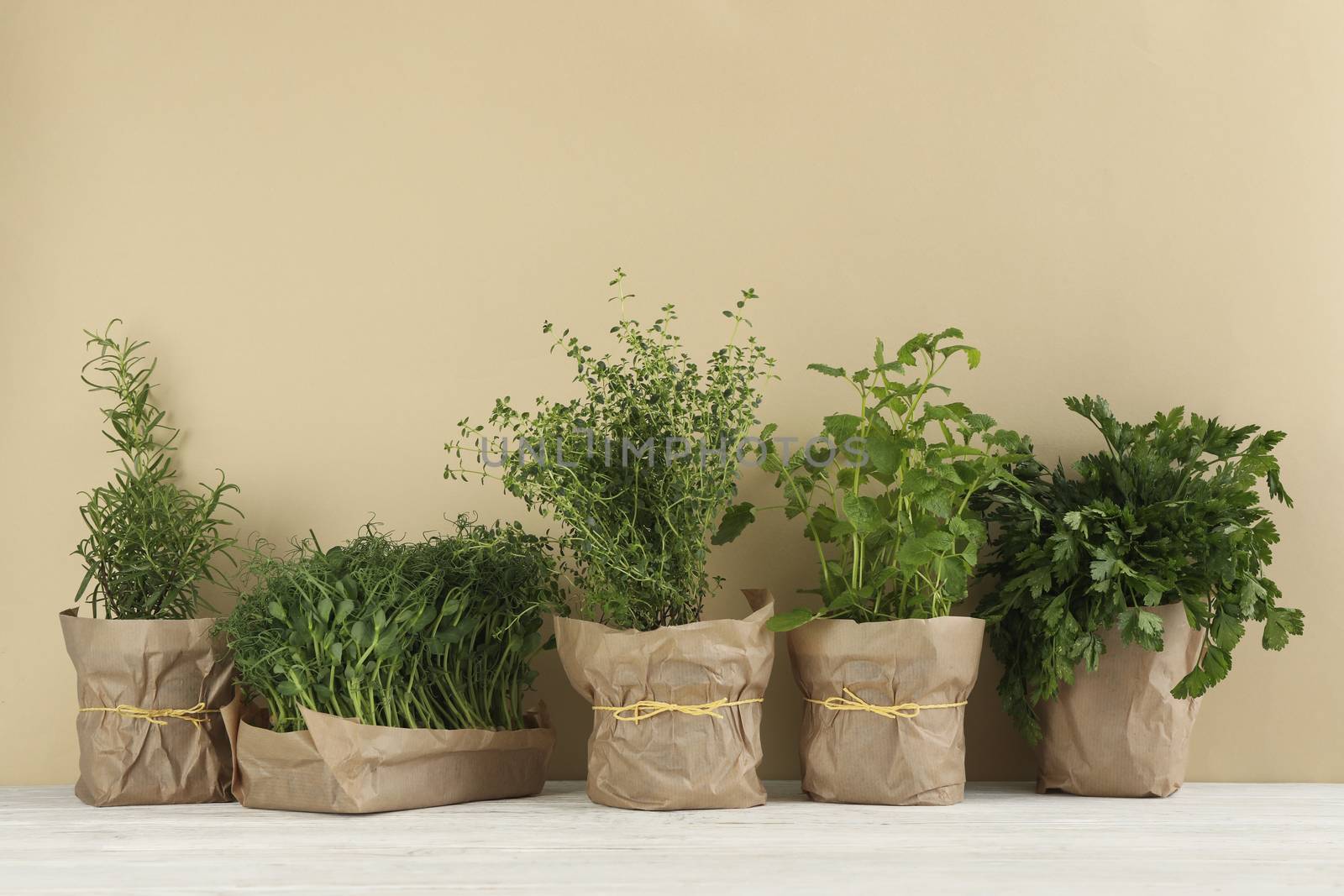 Different herbs on white wooden table against beige background by AtlasCompany