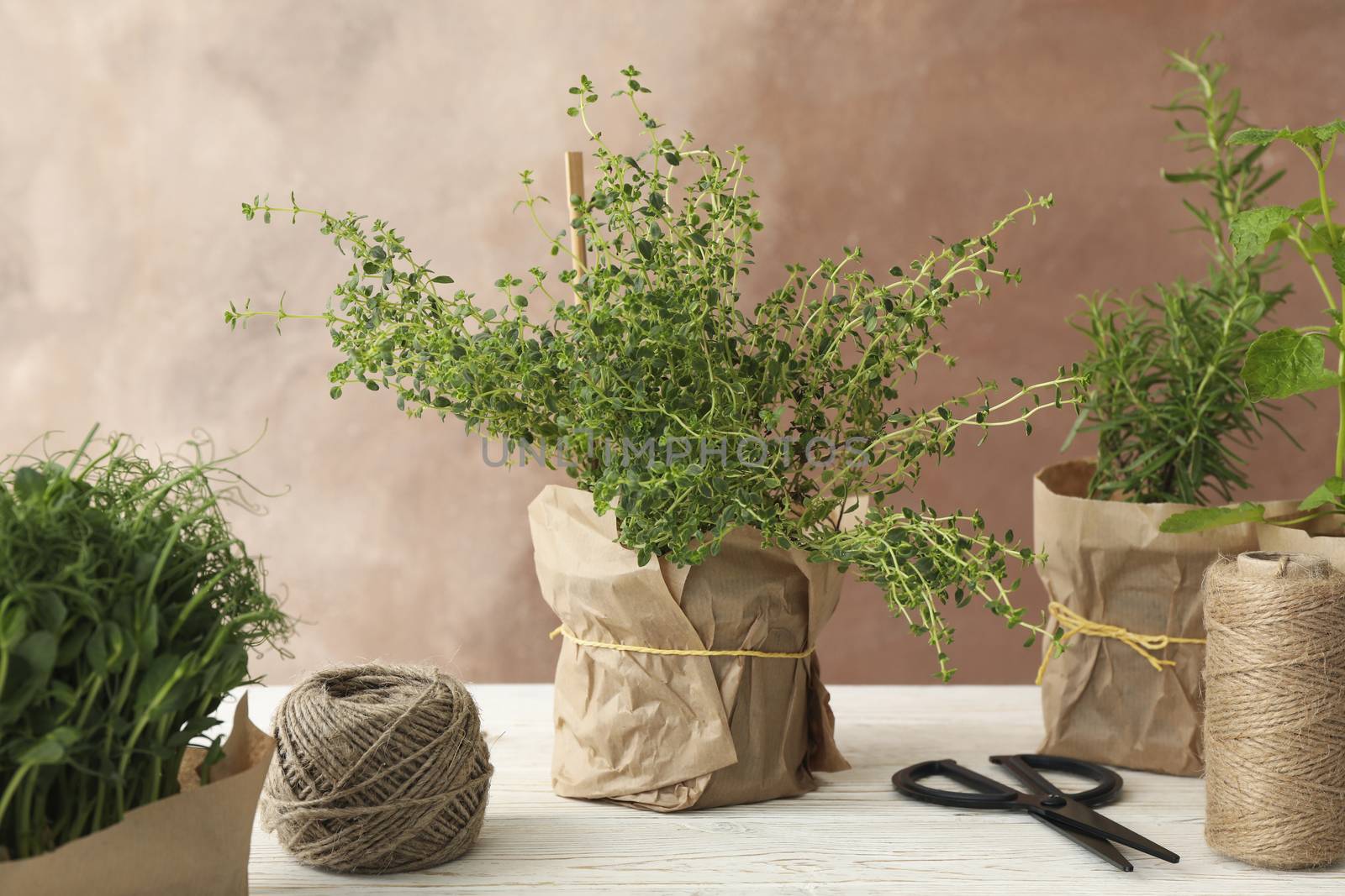 Different herbs on wooden table against brown background by AtlasCompany