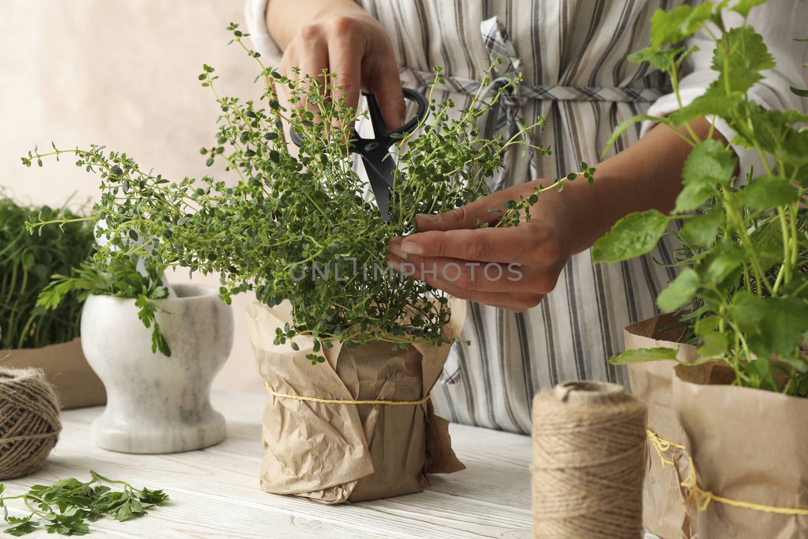 Different herbs on white wooden table and woman against brown ba by AtlasCompany