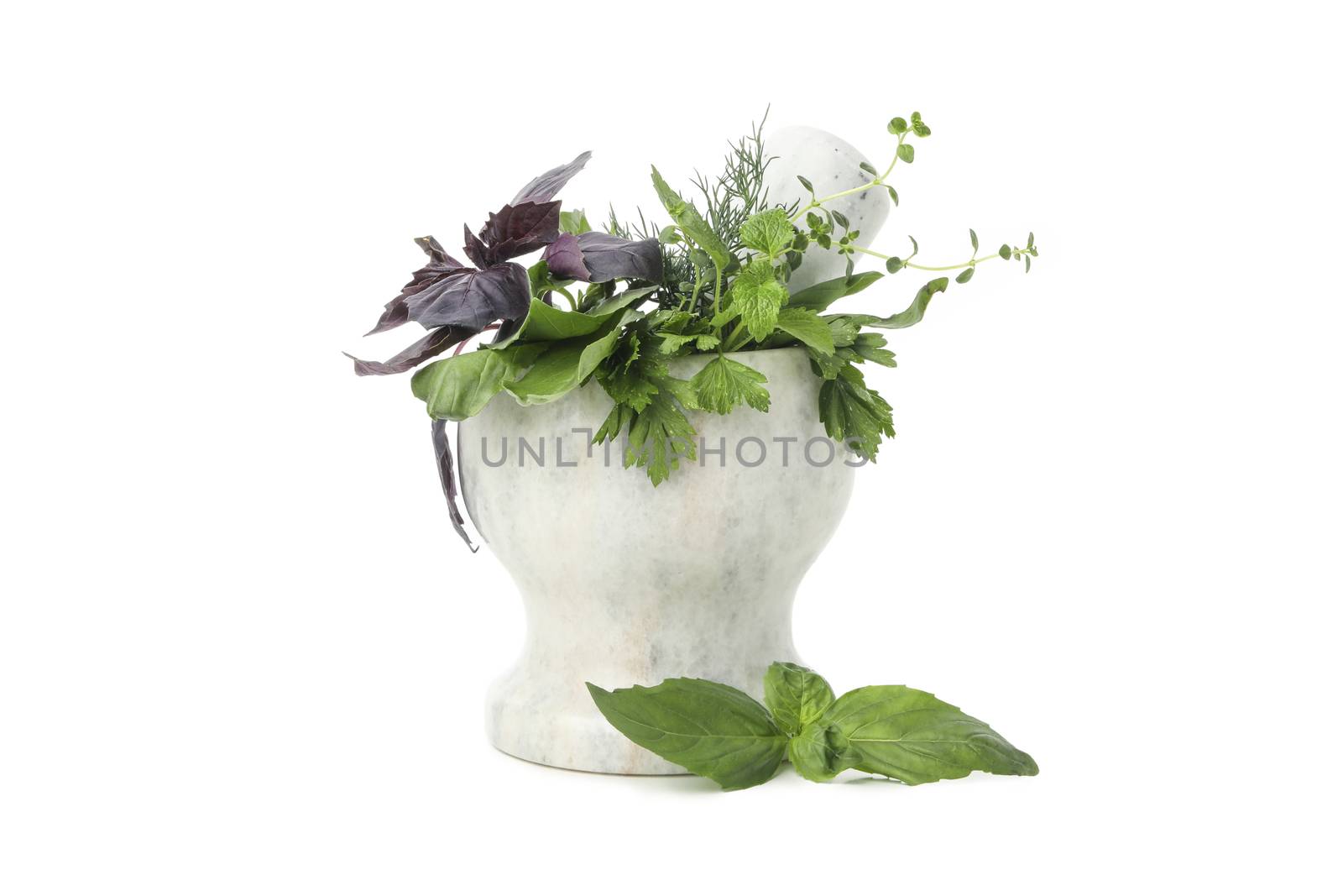 Marble mortar with different herbs isolated on white background