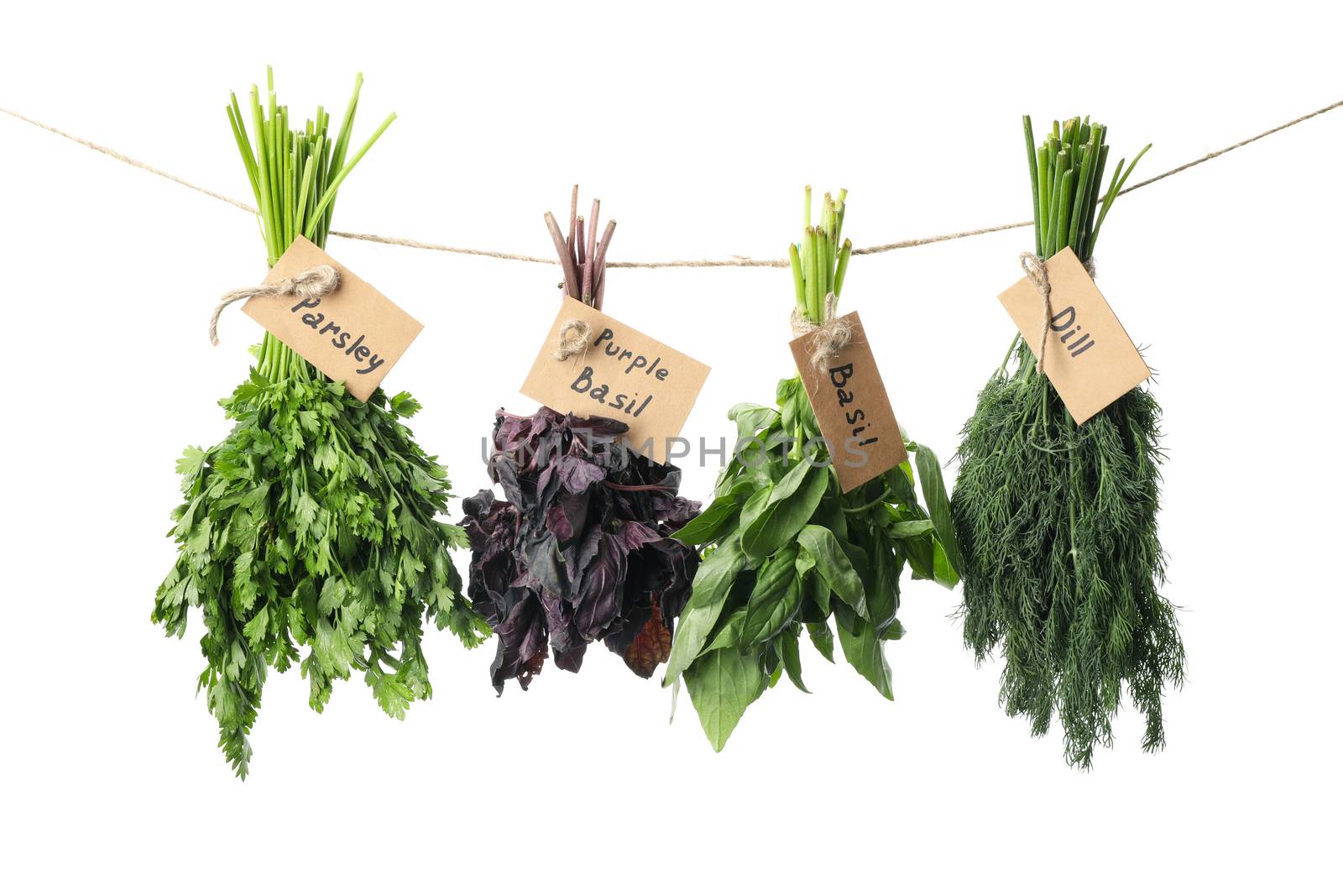 Twine with different herbs isolated on white background