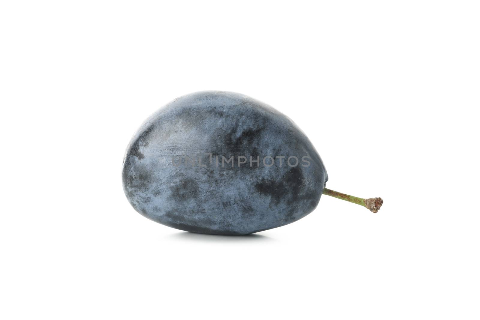 One fresh plum isolated on white background