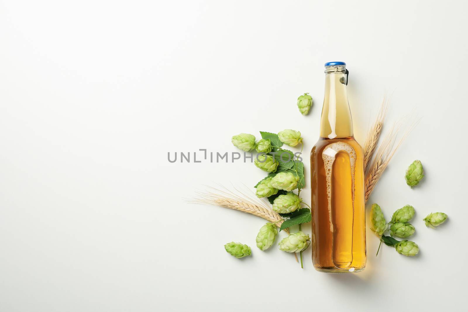 Wheat, hop and beer on white background