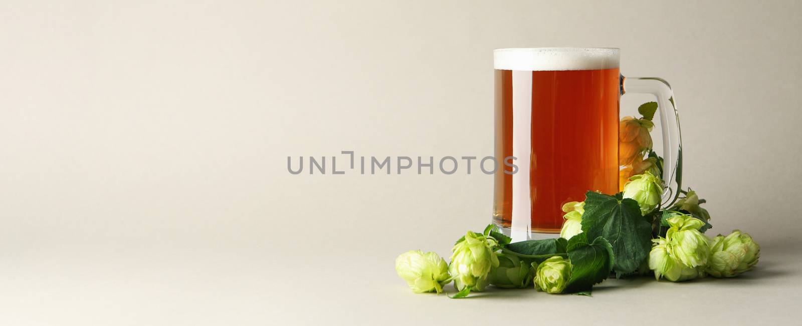 Glass of beer and hop on gray background