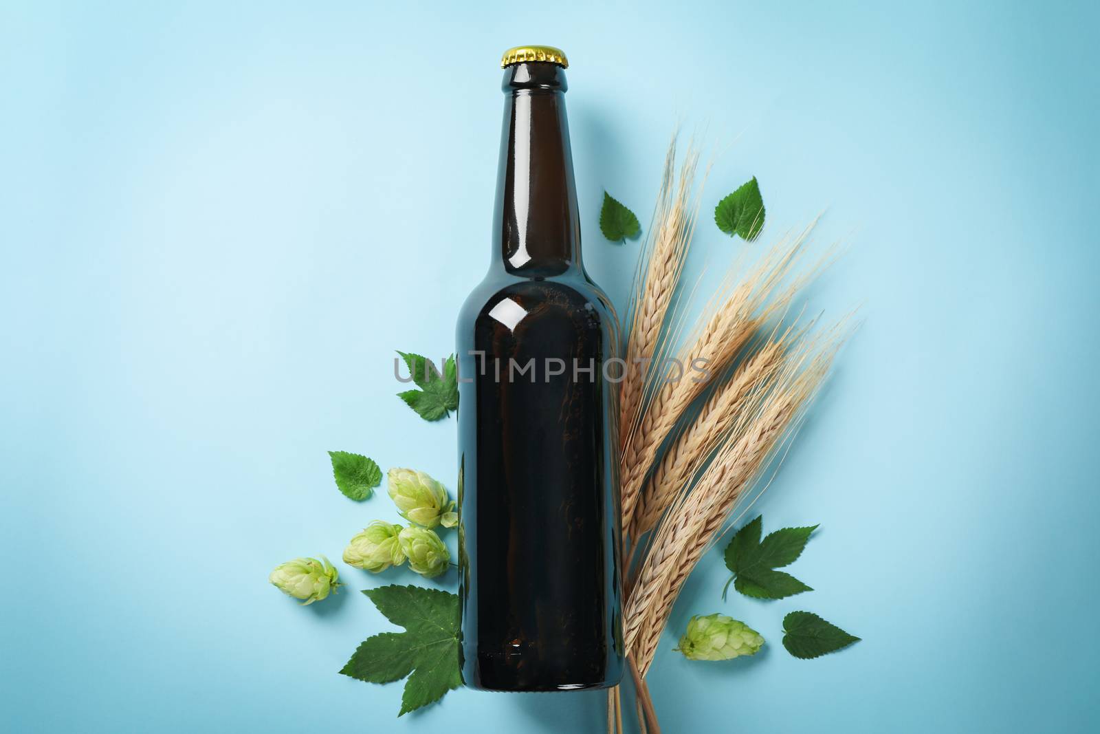 Bottle of beer, wheat and hop on blue background