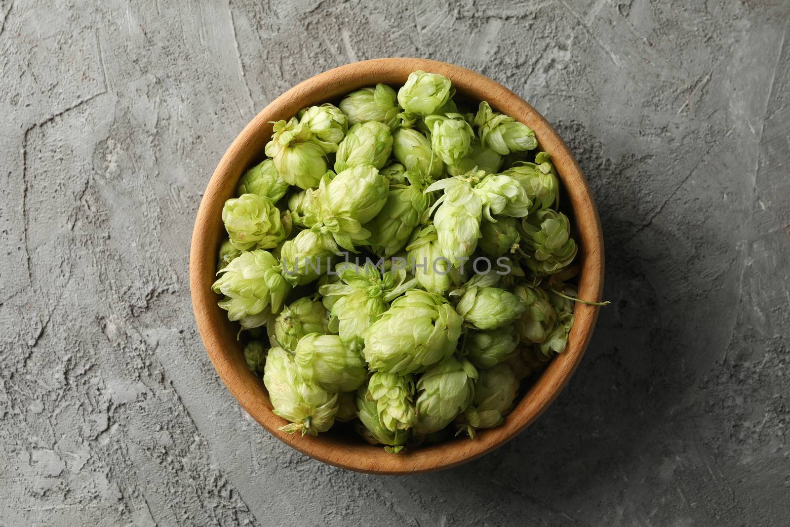 Wooden bowl with hop on gray background