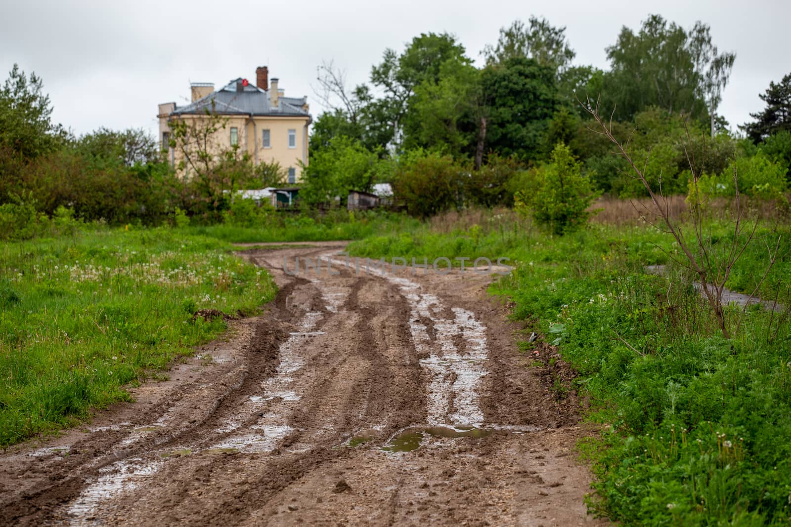 Dirty clay mud road with puddles and tire tracks - closeup with selective focus and linear perspective. Blurry house and some bushes in the background,