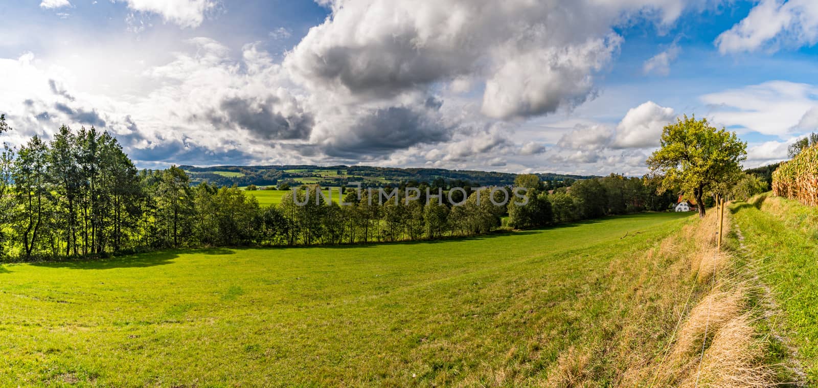 Wonderful, sunny autumn hike in Upper Swabia near Wilhelmsdorf near Lake Constance in Germany