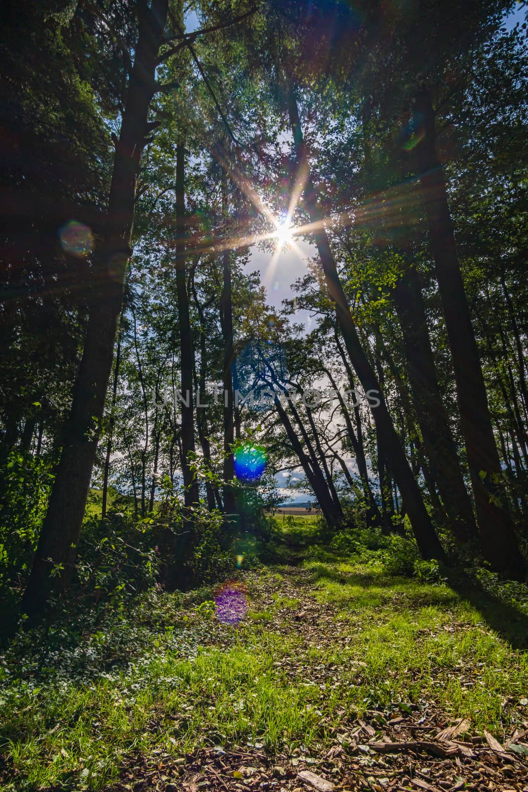 Wonderful, sunny autumn hike in Upper Swabia near Wilhelmsdorf near Lake Constance in Germany