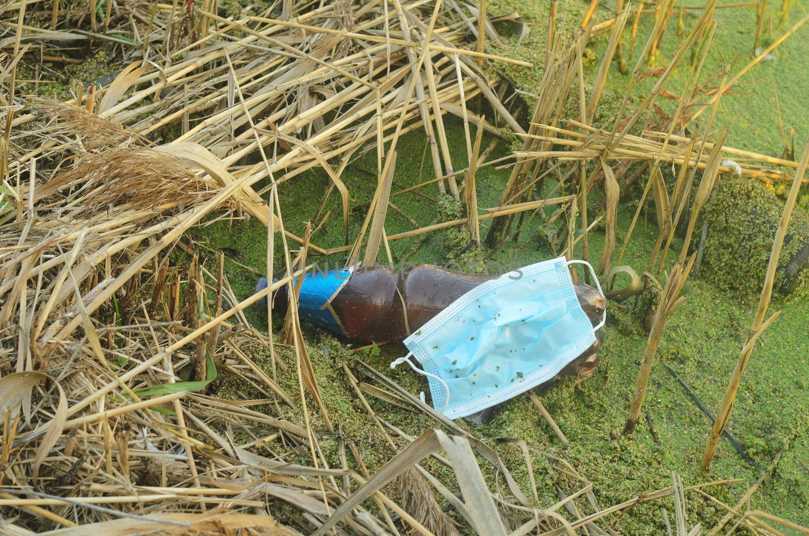Disposable medical mask and plastic bottle in the ooze at the water shore.Plastic pollution caused by Covid 19