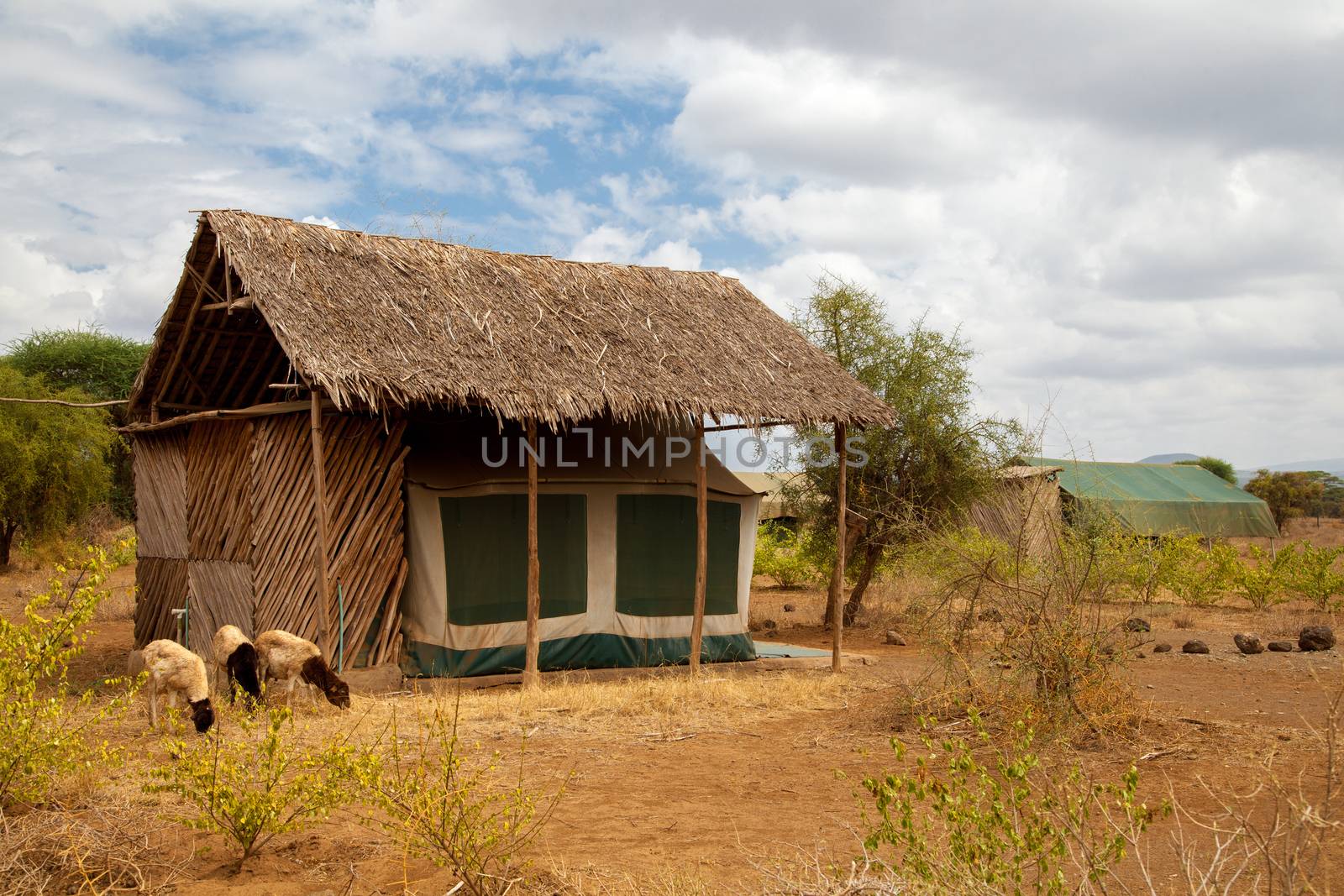 Buildings in the savannah of Kenya