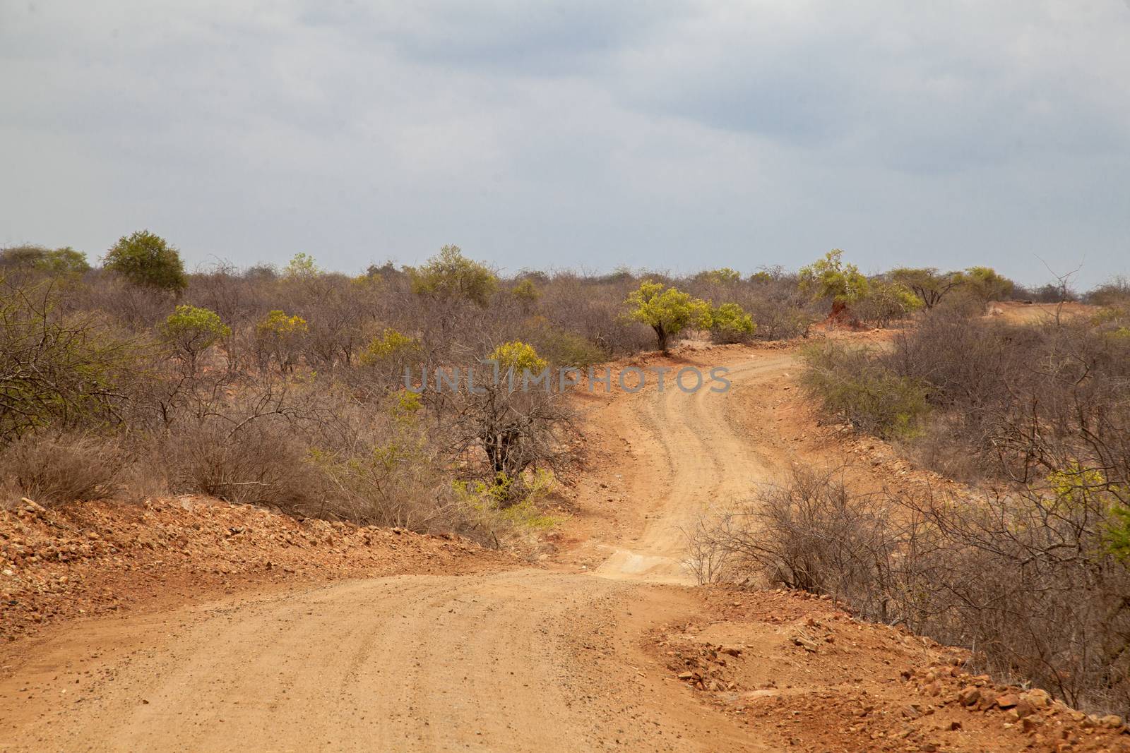 Way in the scenery of Kenya
