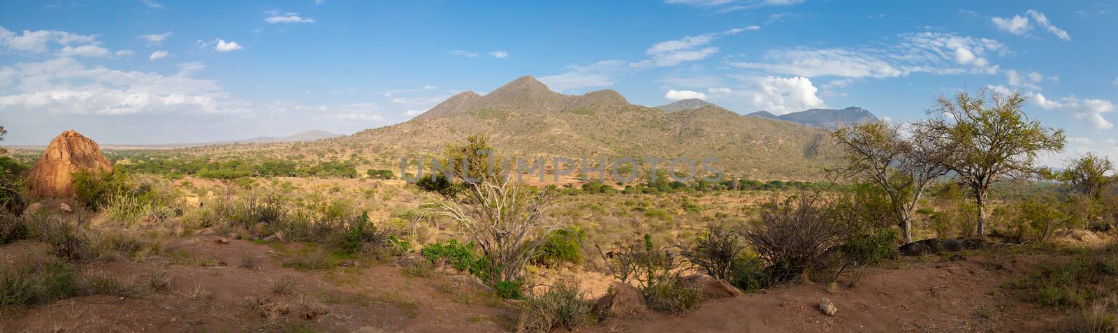 Landscape of Kenya, hills and grassland