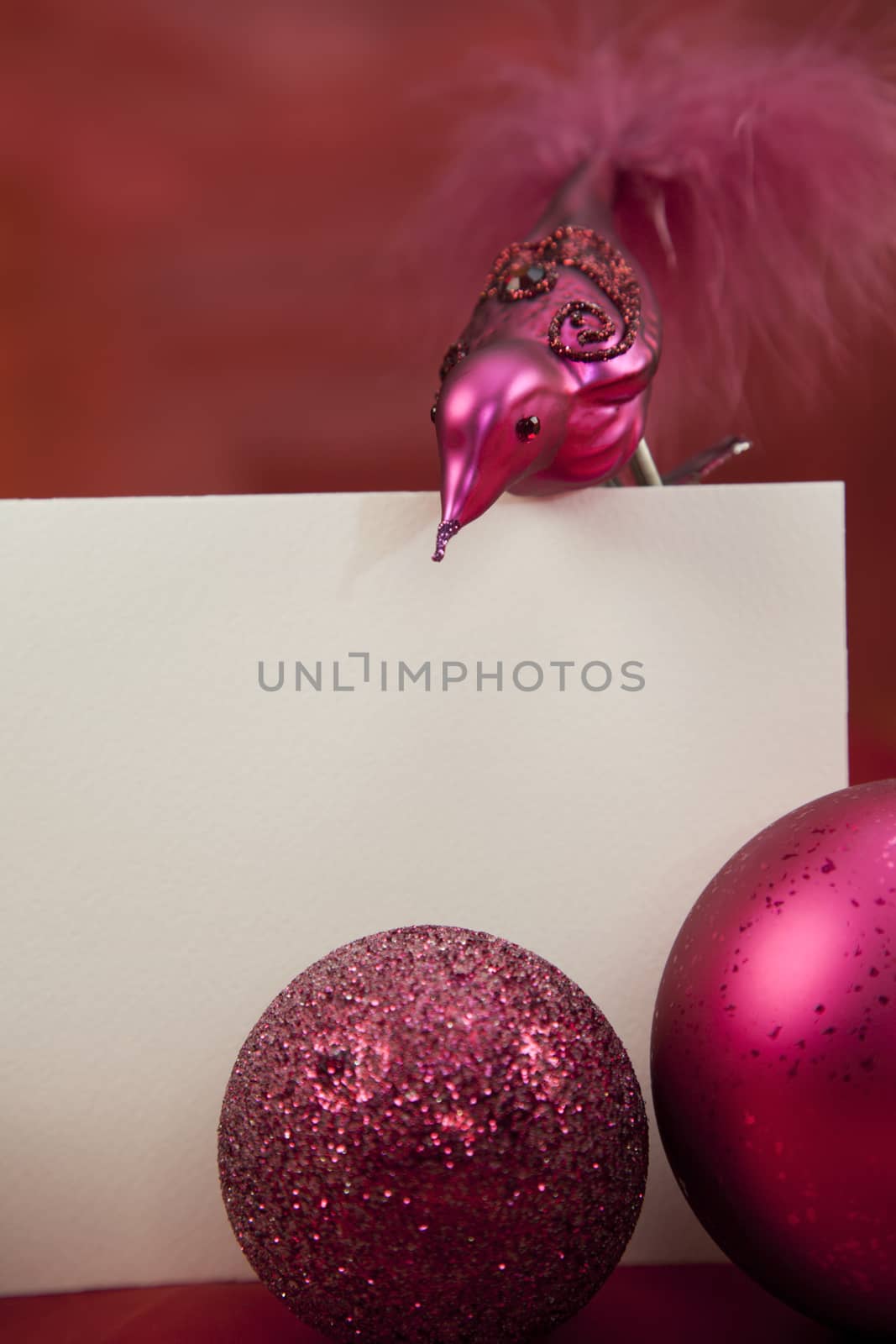 Christmas decoration with blank Christmas card and copy space