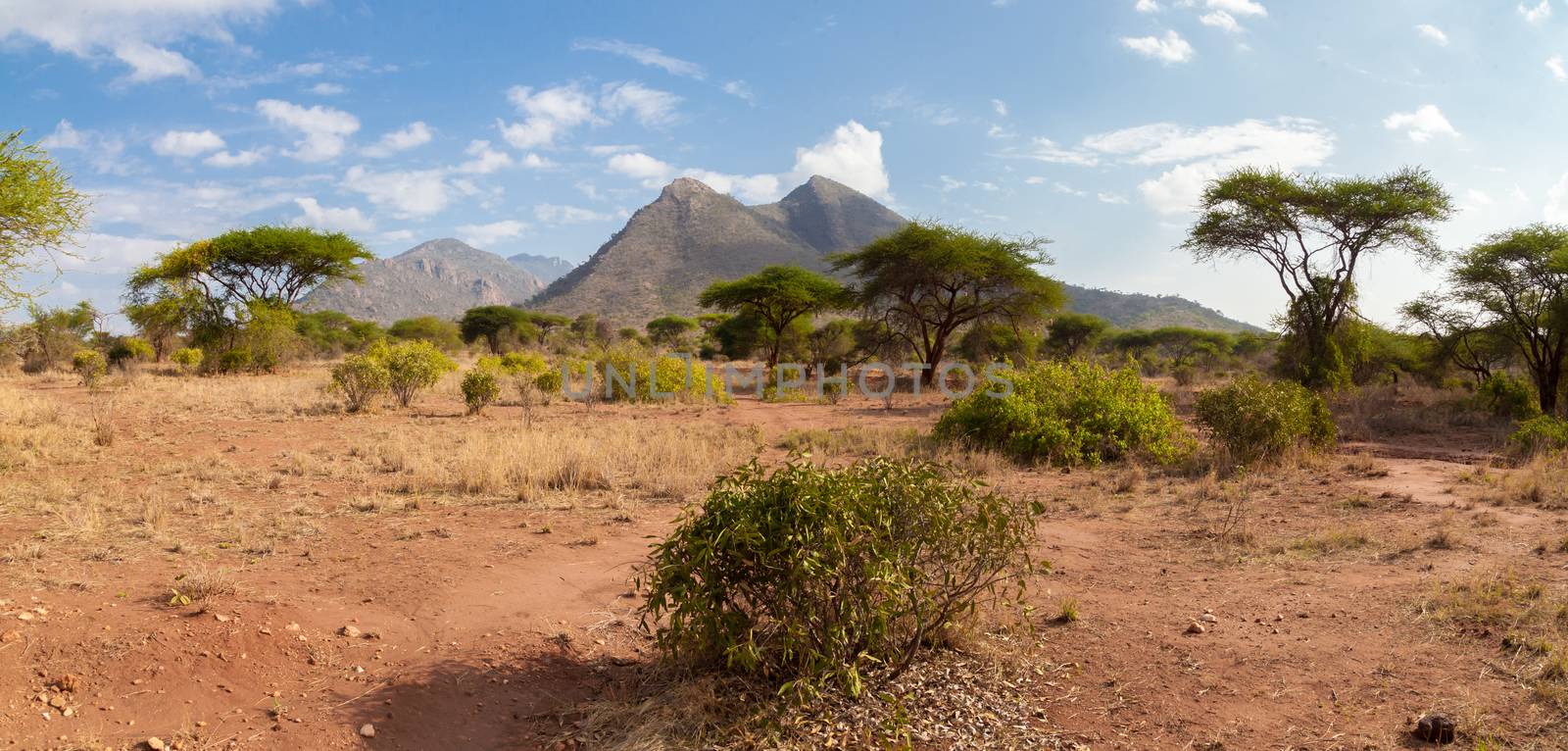 Landscape with hills and trees, Kenya