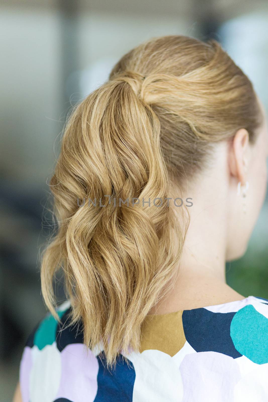 A young woman with long blond wavy hair tied in a ponytail. Back view.
