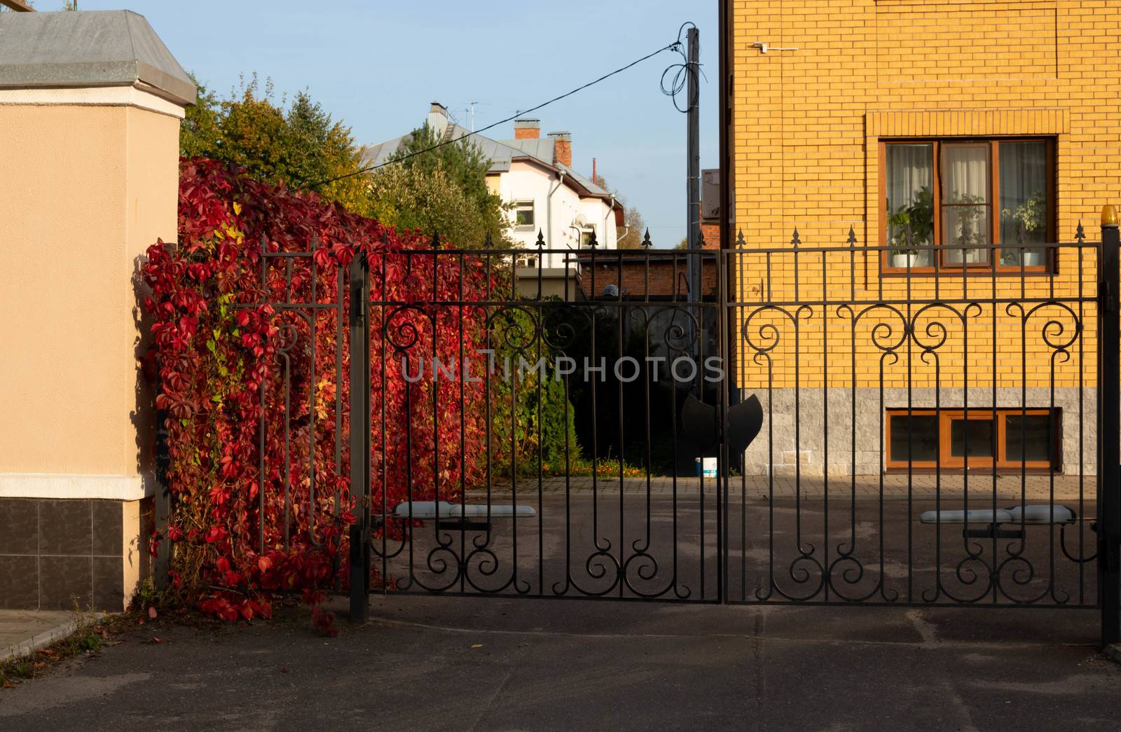 New forged metal double gates for entry of cars into the yard closed.