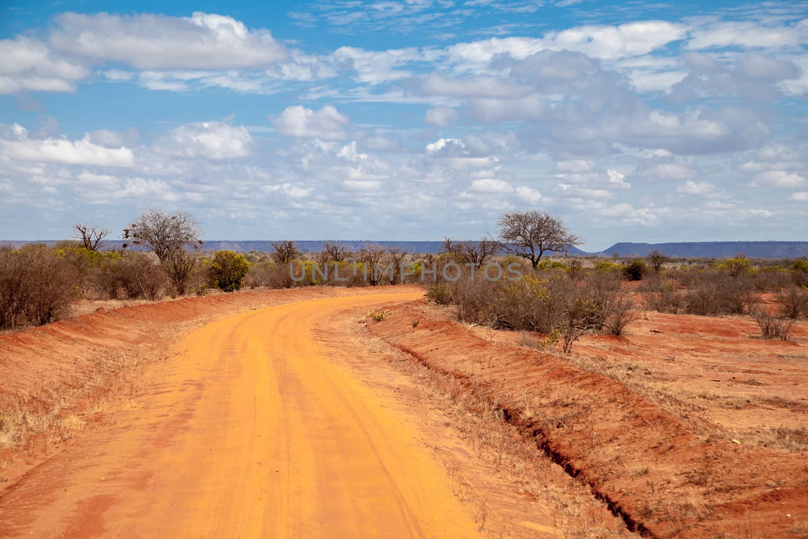 Road in Kenya, savannah with mountains and blue sky and trees