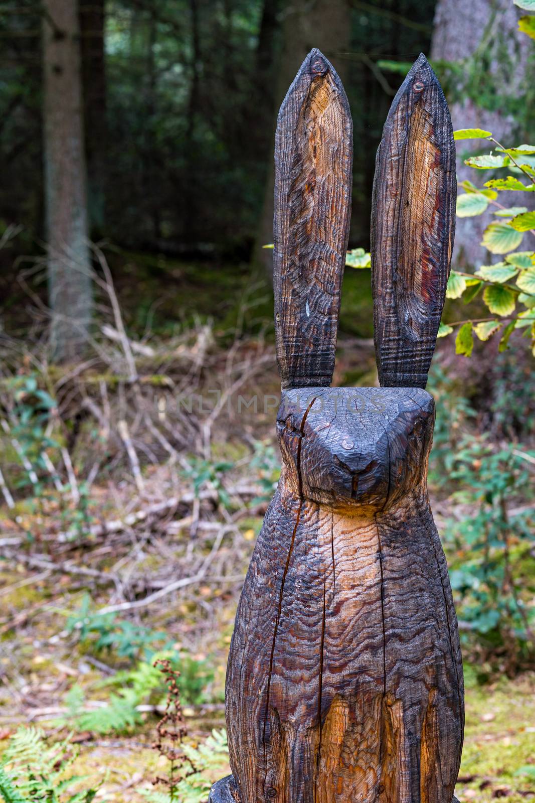 Finkenwiese wooden figures in the Pfrungen Wilhelmsdorfer Ried by mindscapephotos