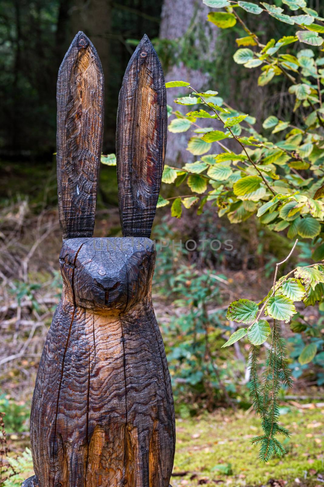 Finkenwiese wooden figures in the Pfrungen Wilhelmsdorfer Ried in Upper Swabia Germany