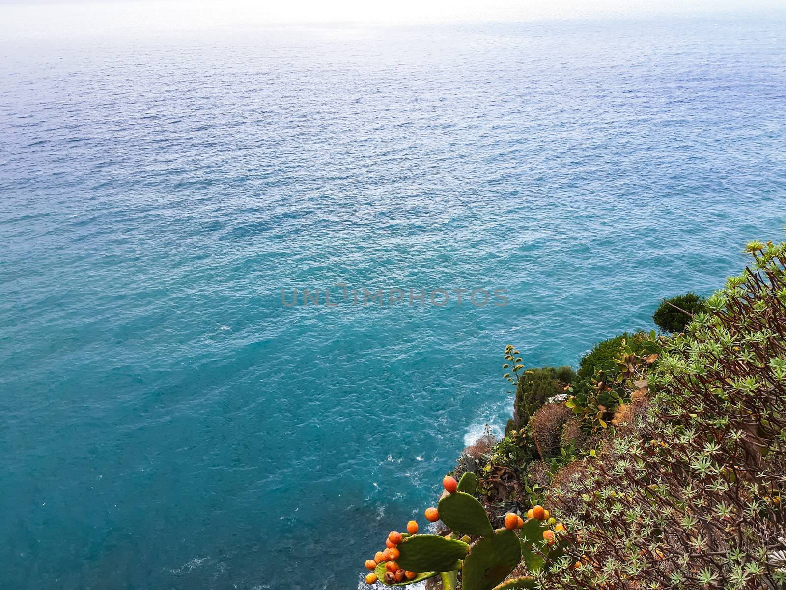 Cinque Terre, Italy - 09/02/2020: Beautiful landscape of a coastal fishing village, amazing view on many little colorful houses, traditional architecture of the little Italian town called Cinque Terre