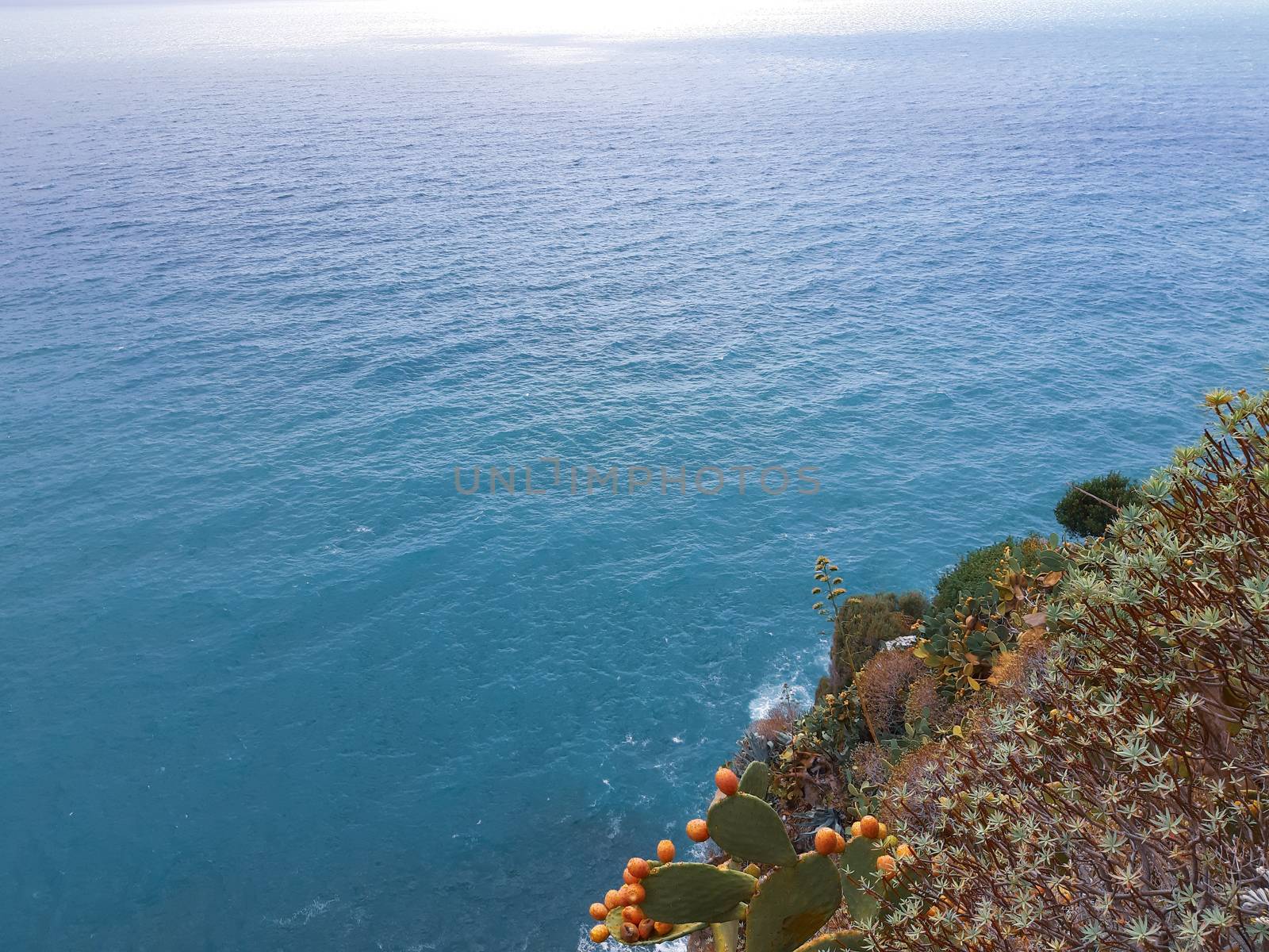 Cinque Terre, Italy in summer by yohananegusse