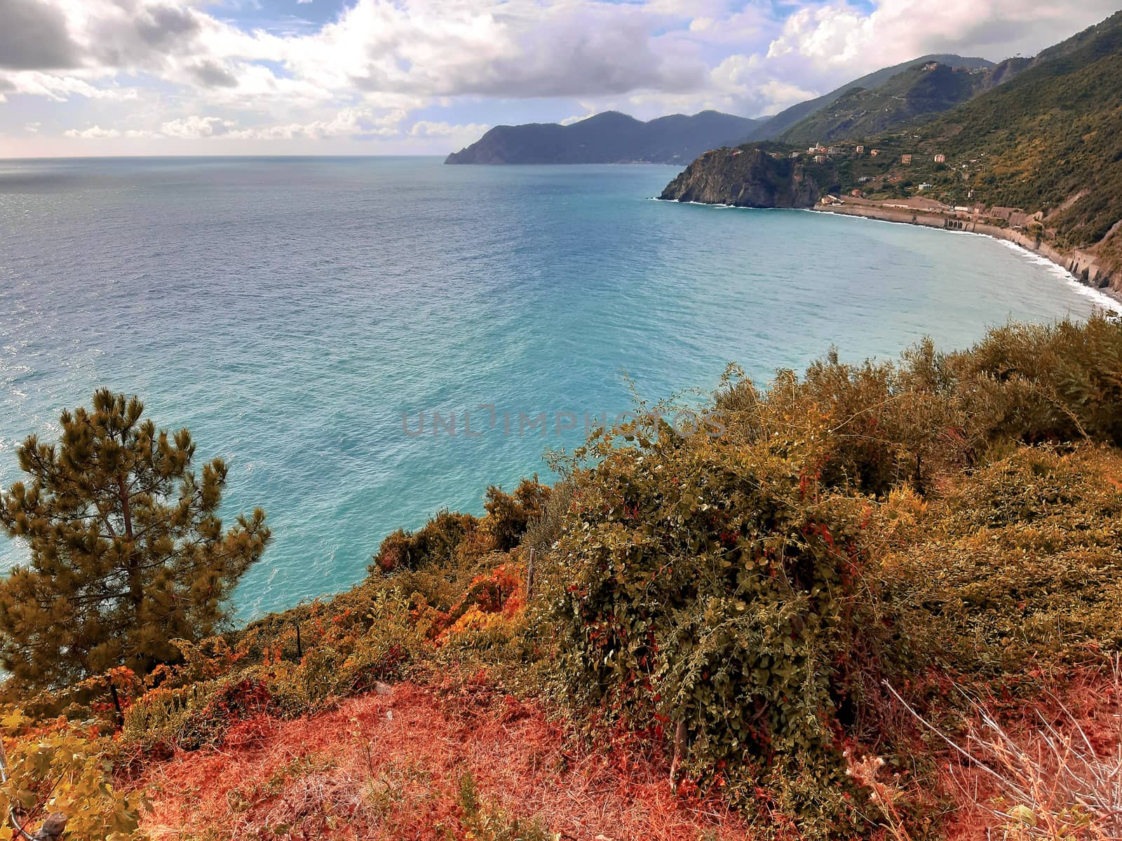 Cinque Terre, Italy - 09/02/2020: Beautiful landscape of a coastal fishing village, amazing view on many little colorful houses, traditional architecture of the little Italian town called Cinque Terre