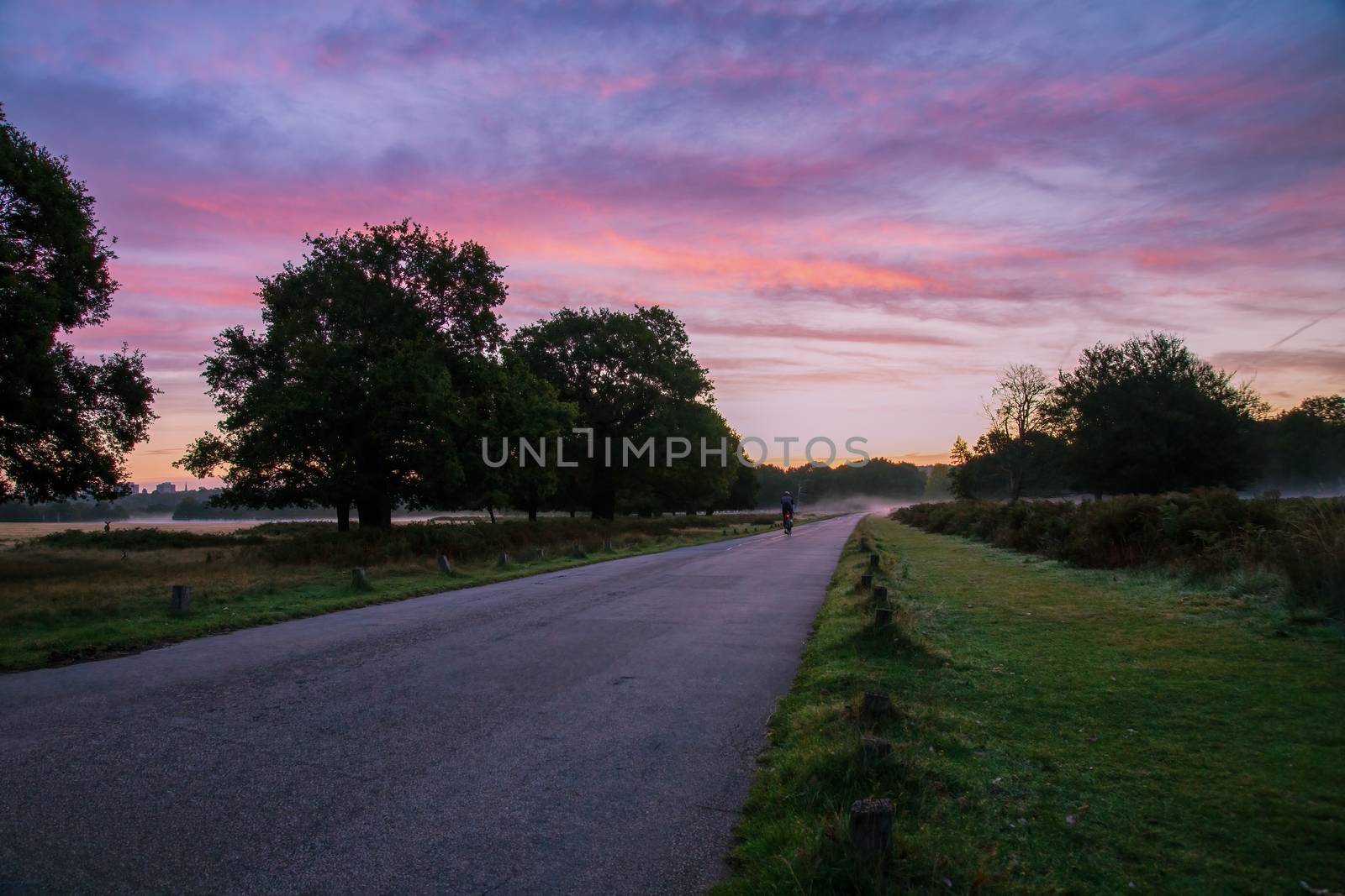 Cyclists riding at sunrise on a foggy morning, through Richmond Park, Surrey, England