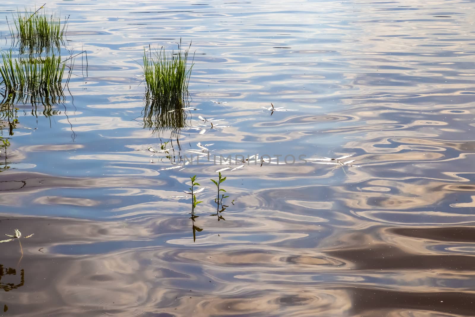 Beautiful landscape at the coast of a lake with a reflective wat by MP_foto71