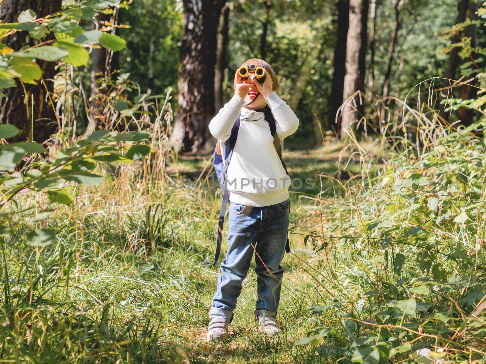 Curious boy is hiking in forest. Outdoor leisure activity for ki by aksenovko