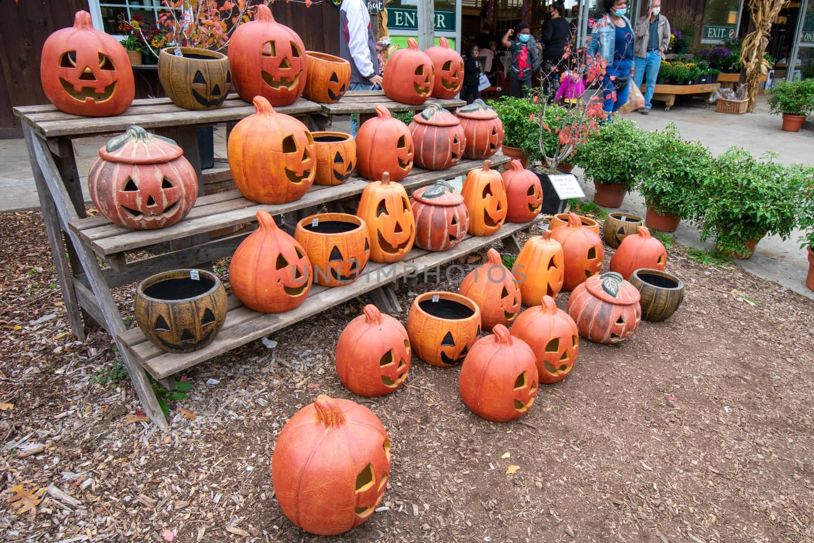 A Bunch of Ceramic Jack O' Lanterns on a Wooden Shelf in a Bed of Mulch Out Front of a Farmer's Market