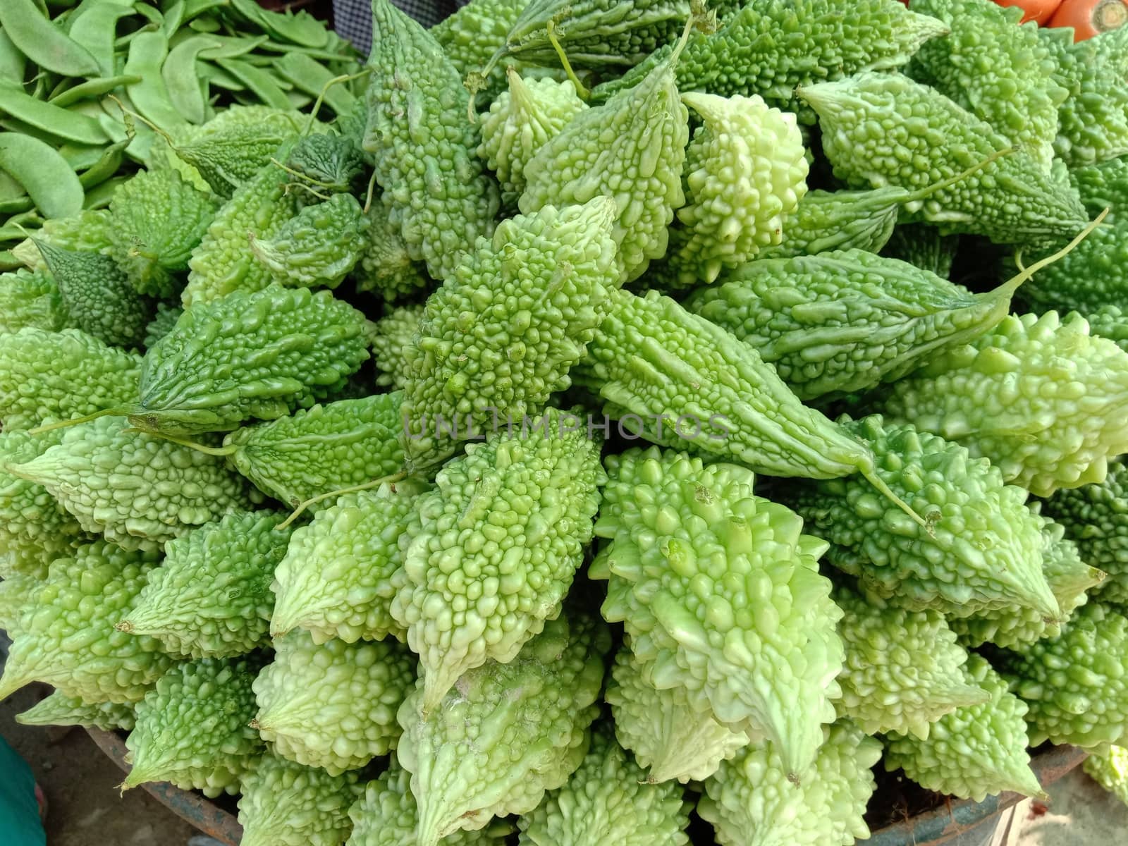 Fresh and Healthy Raw Bitter melon Stock on Shop