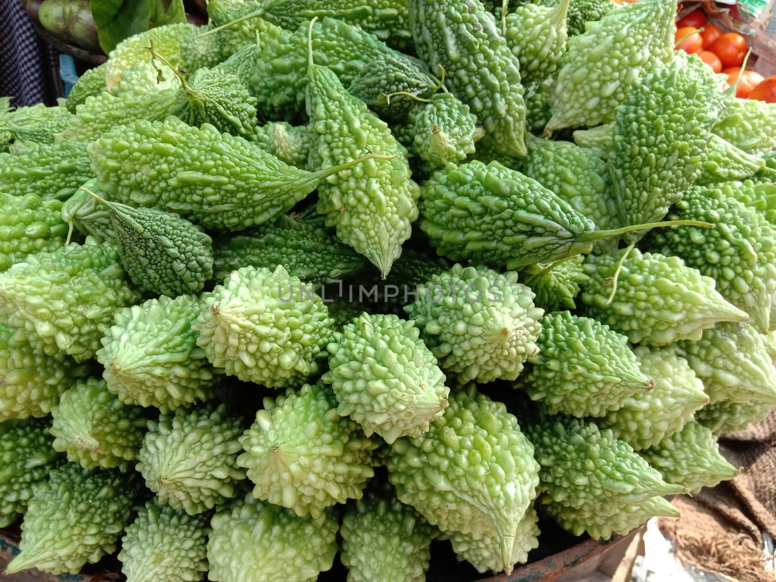 Fresh and Healthy Raw Bitter melon Stock on Shop