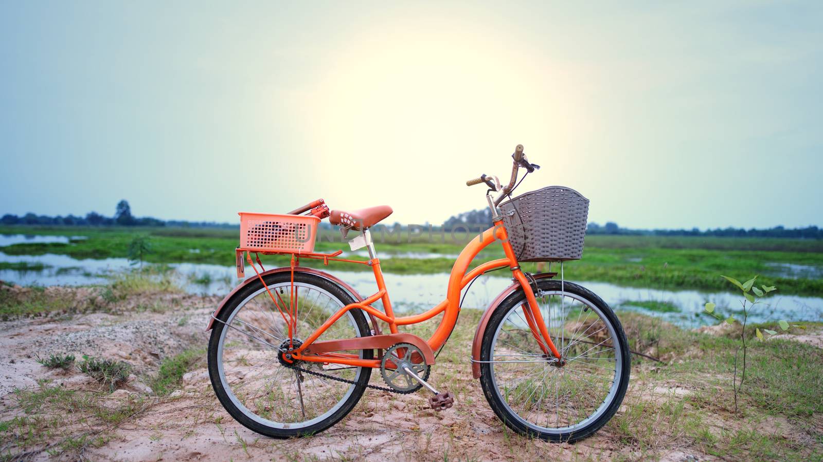 An orange retro-style bicycle with a basket for luggage, parked  by noppha80