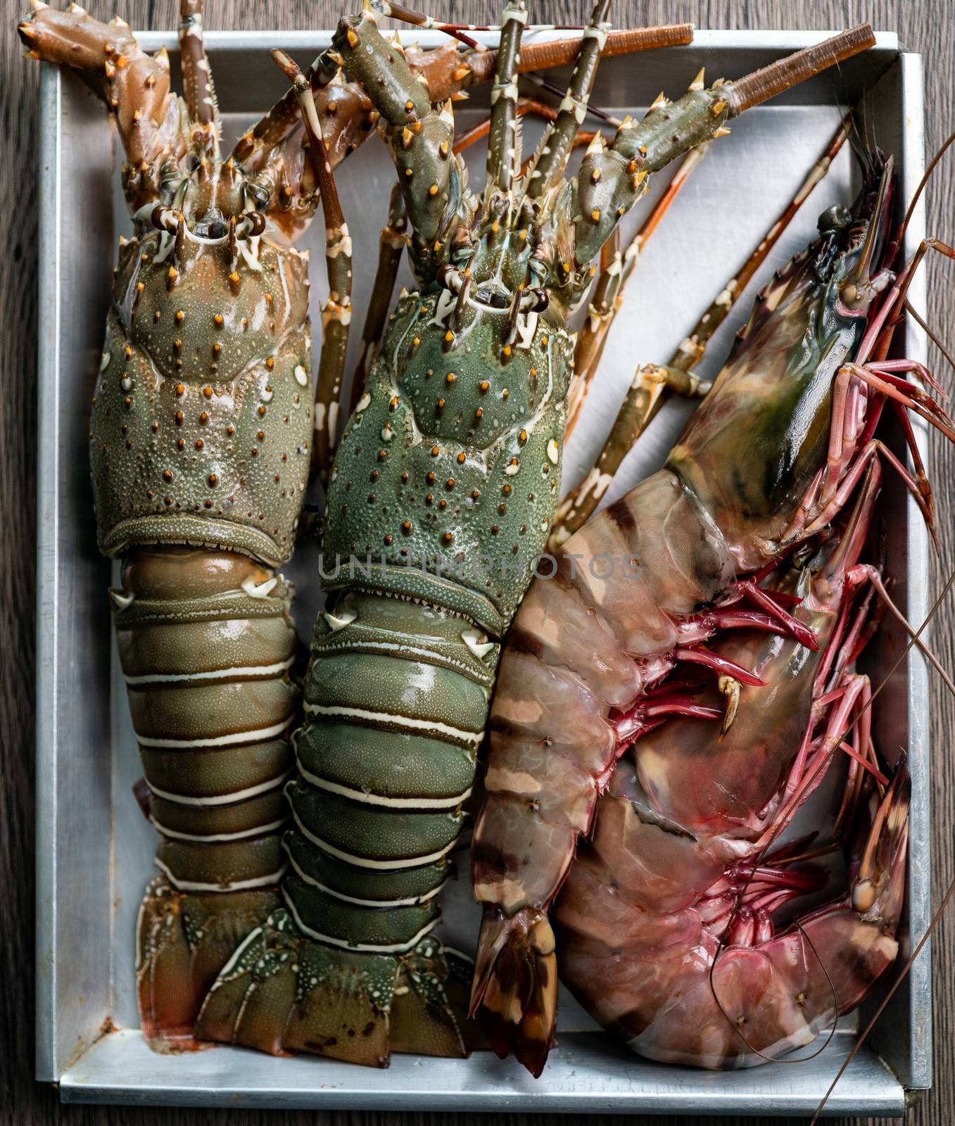 Fresh raw Tiger prawn and spiny lobster on tray.