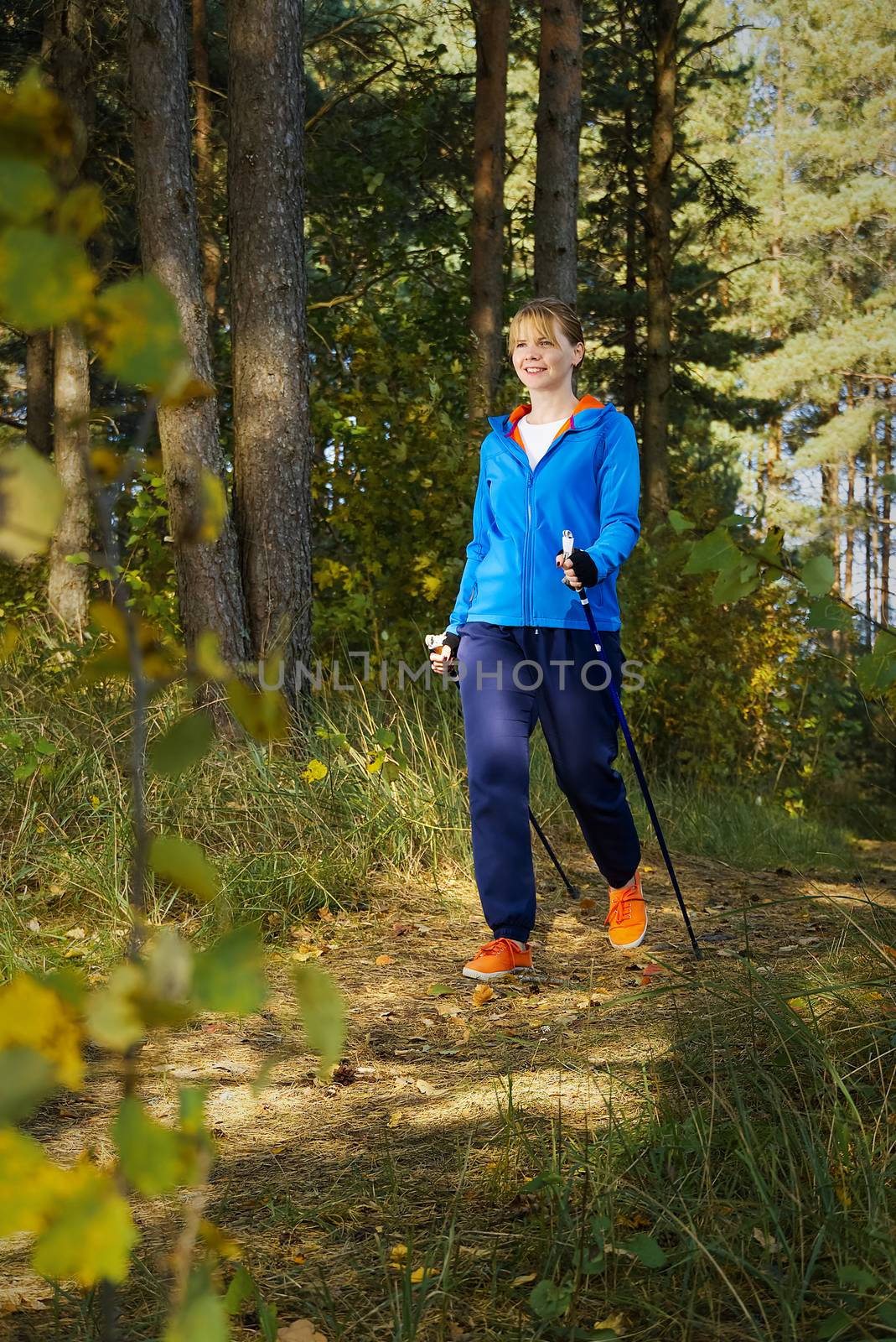 young women in blue jacket hiking in autumn park with scandinavian sticks. woman with sticks in autumn forest making nordic walking.