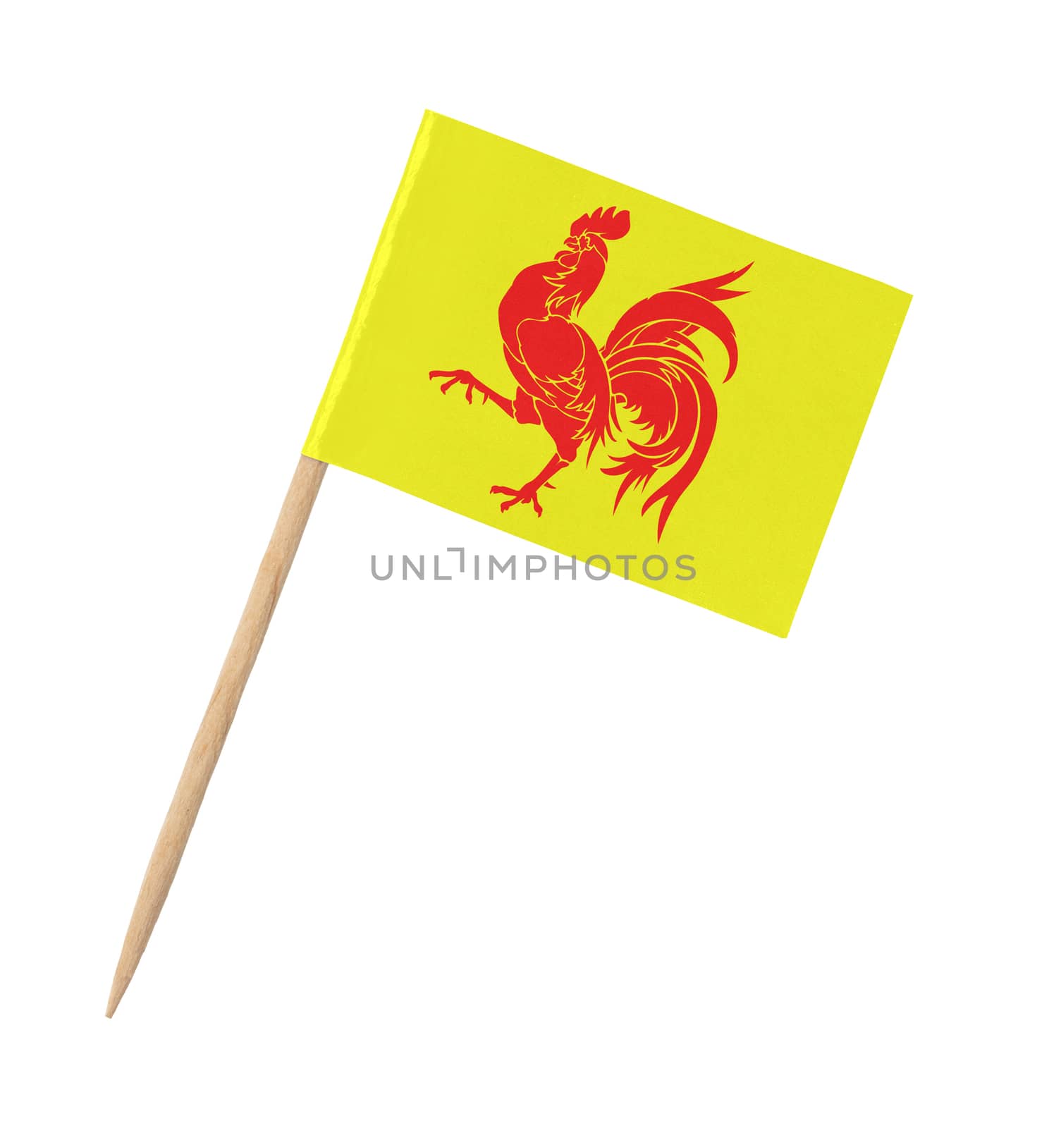 Small paper flag of Wallonia on wooden stick, isolated on white