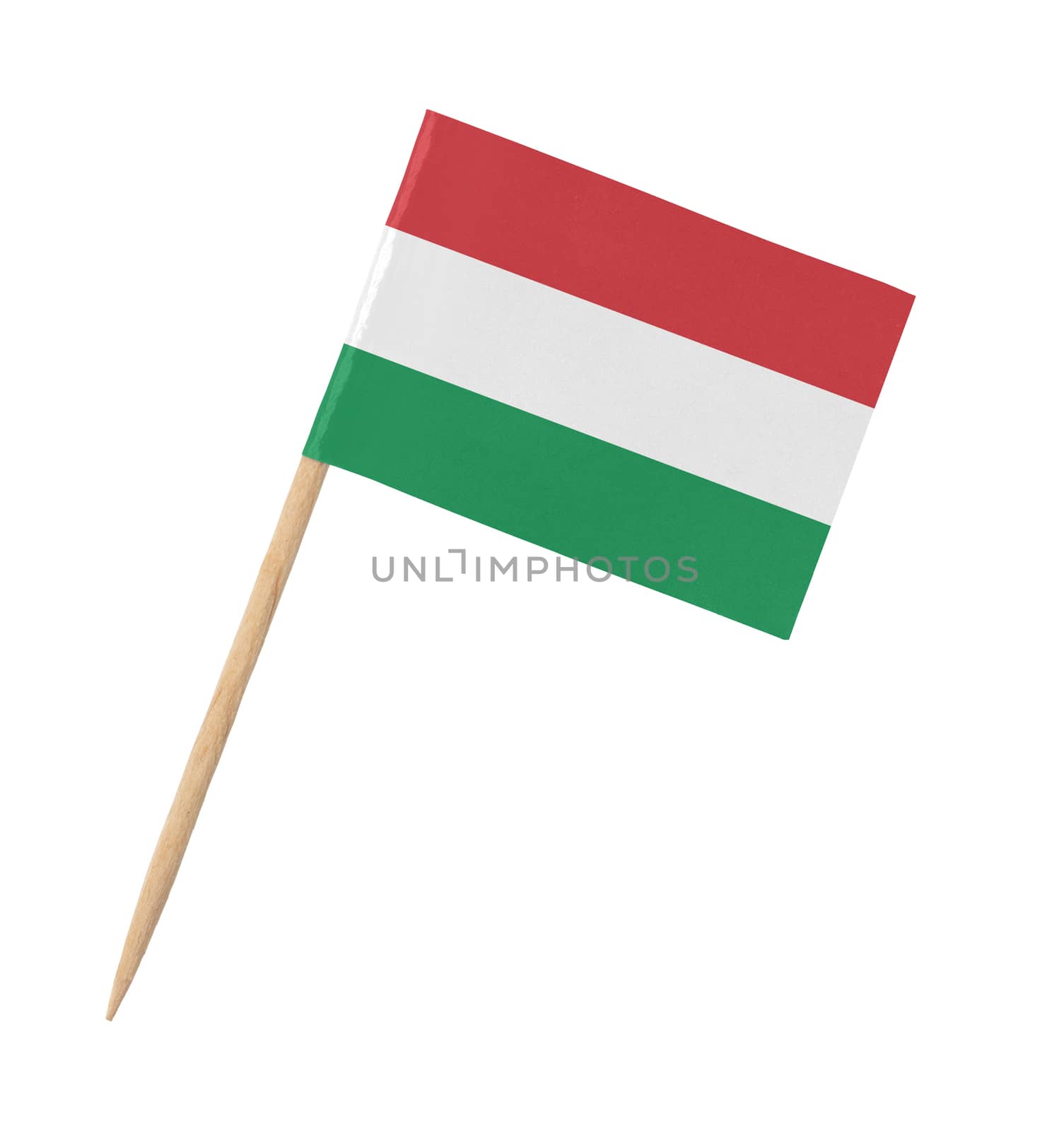 Small paper flag of Hungary on wooden stick by michaklootwijk