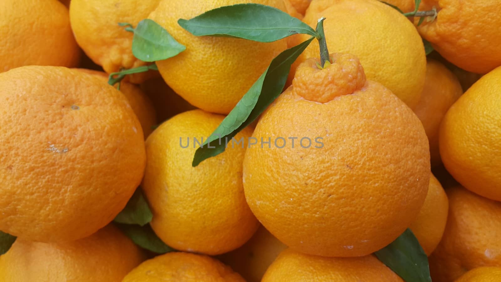 Healthy, fresh organic oranges in supermarket for sale, pile of orange in market for texture