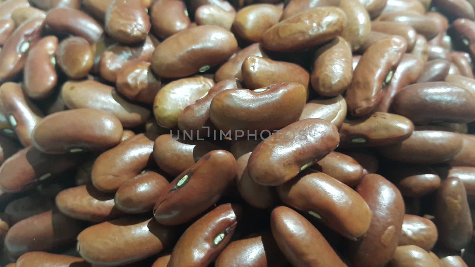 Kidenry beans: Closeup view of uncooked red kidney beans by Photochowk