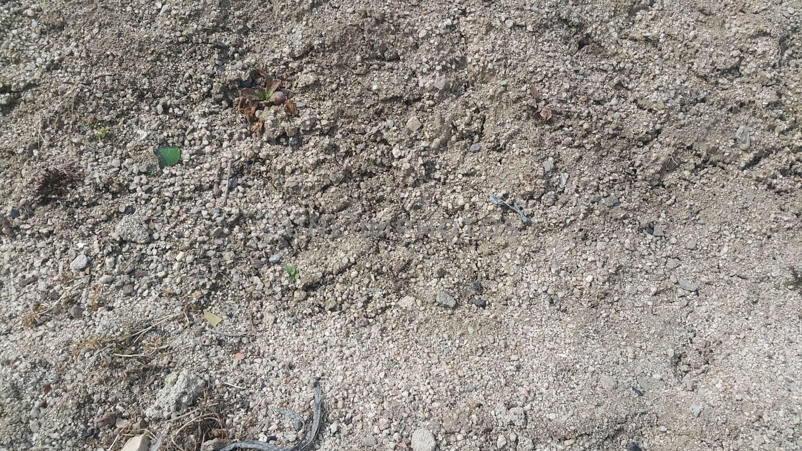 Close view of natural background of a field for farming. Dry agricultural brown soil detailed. 