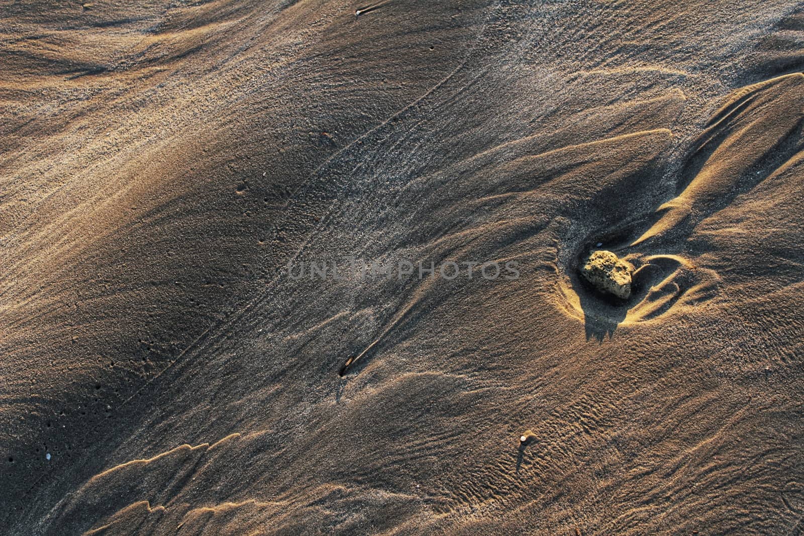 Sand on the beach at sunset texture