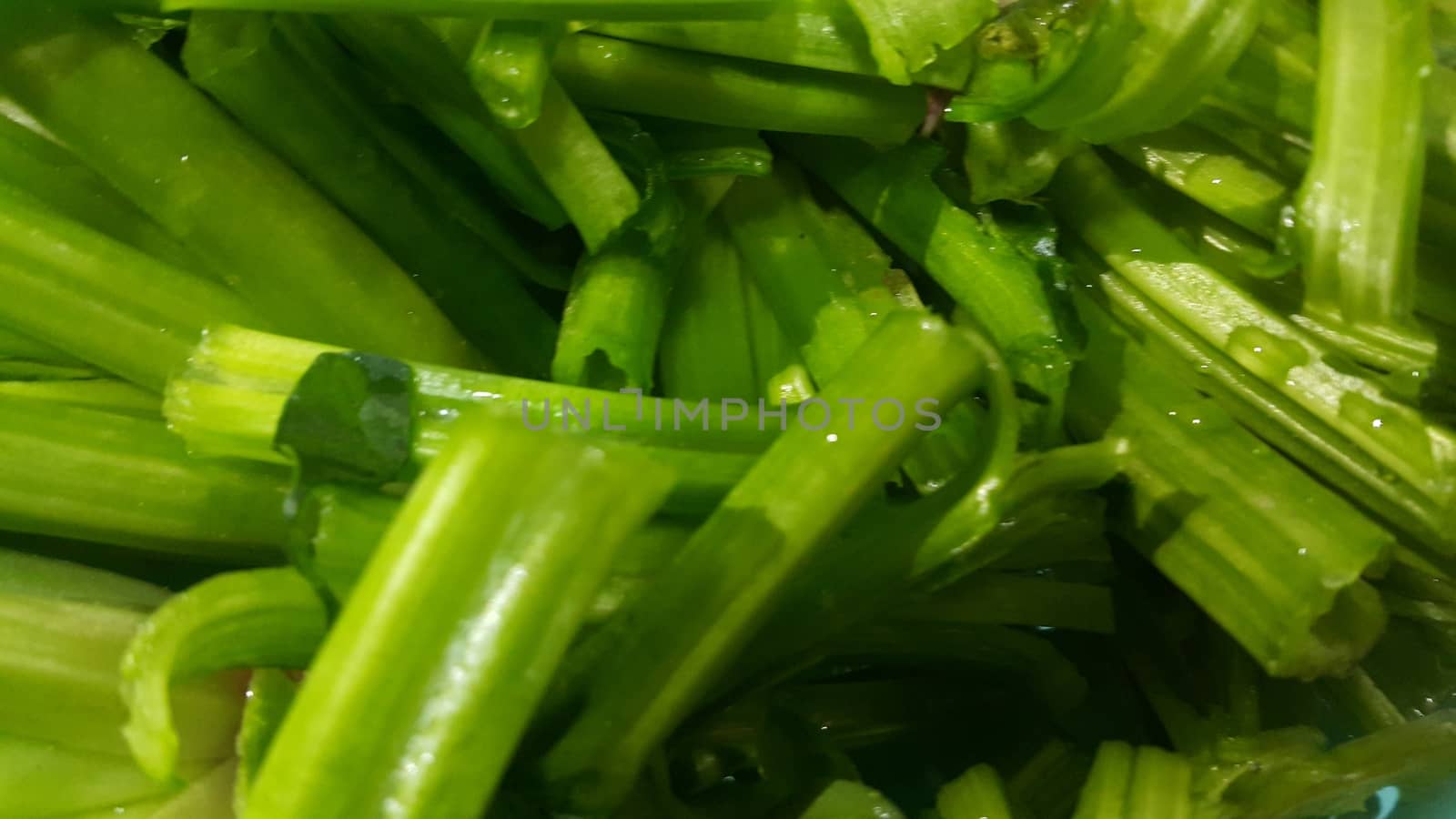 Close up view of lush green leaves base of spinach or paalak saag used for making