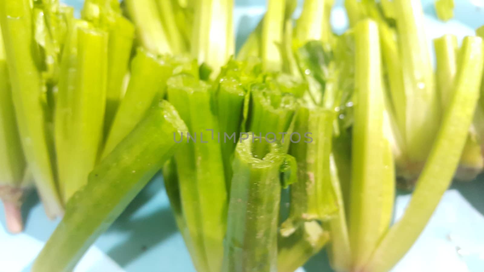 Close up view of lush green leaves base of spinach or paalak saag used for making